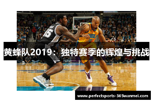 黄蜂队2019：独特赛季的辉煌与挑战